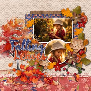 Falling Leaves 2024