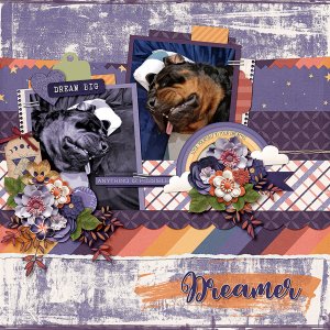 Dreamer