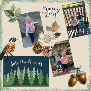 Woodland Walk