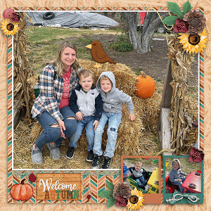 Harvest Memories