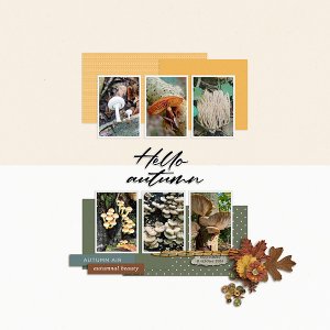 autumn