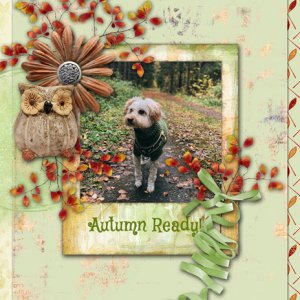 Autumn Ready!