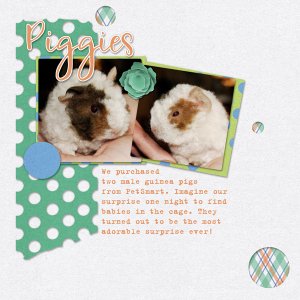 Piggies
