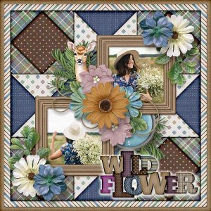 Wild Flower