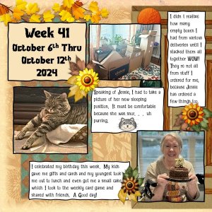 Project 365 Challenge - Week 41