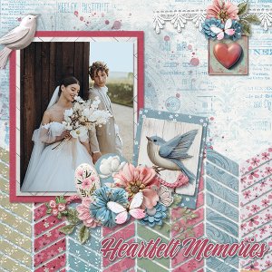 Heartfelt Memories