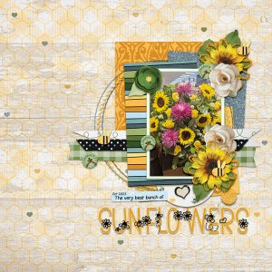 Sunflowers