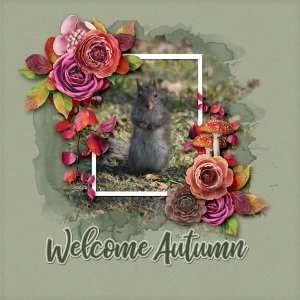 Welcome Autumn