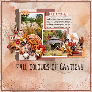 Colours of Cantigny