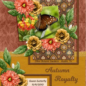 Autumn Royalty