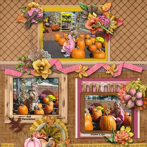 Fall Decorations