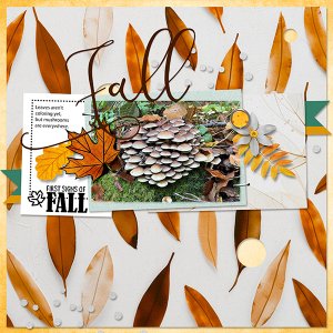 First signs of Fall