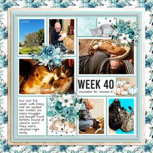 2024 PL Week 40