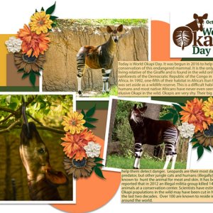 World Okapi Day