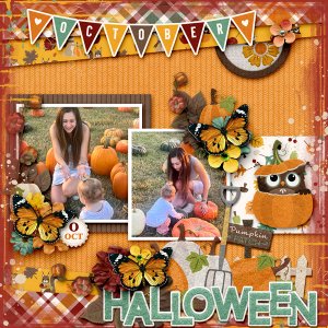 Pumpkin Patch