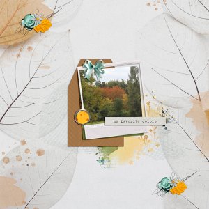 my favorite fall colors