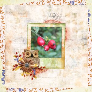 autumn fruits