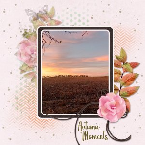 Autumn Moments
