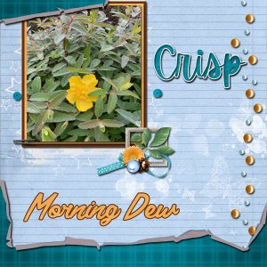 Crisp morning dew