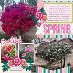 2024-10-07_BeautifulSpring