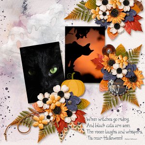 Black Cat