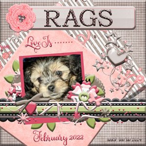 Rags First Day Home