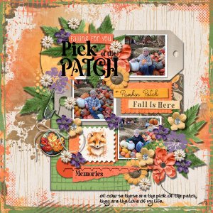 Pick Of The Patch