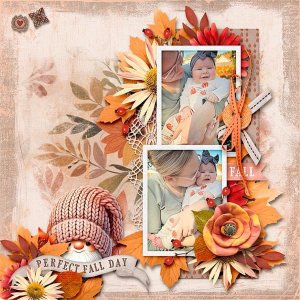 Fall Day