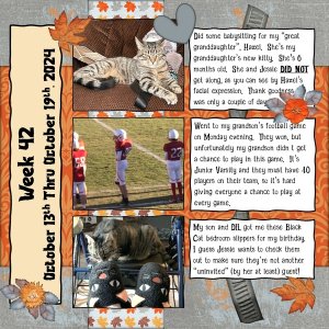 Project 365 Challenge - Week 42