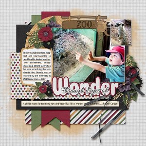 Through Eyes of Wonder