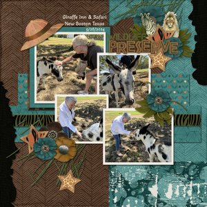Animal Kingdom bundle from Designs by Connie Prince