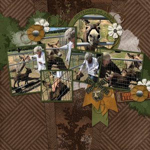 Animal Kingdom from Designs by Connie Prince