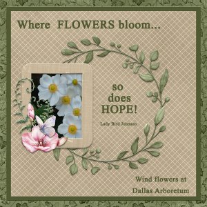Where FLOWERS bloom so does HOPE!