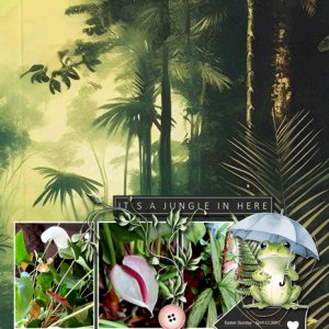 Indoor Jungle