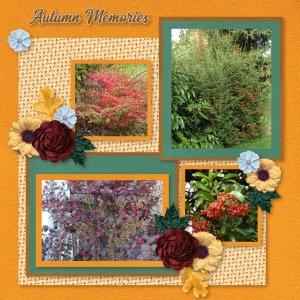 Autumn Memories