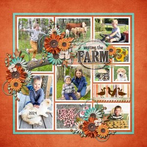 Visiting the Farm