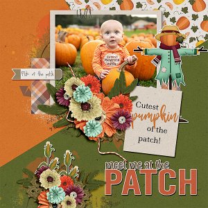 Cutest Pumpkin