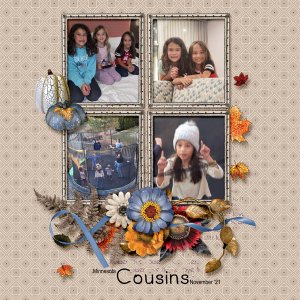 Minnesota Cousins