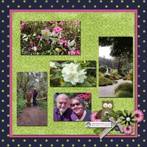 Mendocino Botanical Gardens 2