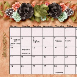 2024 Nov calendar