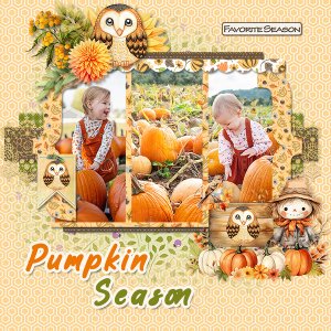 Pumpkin Season