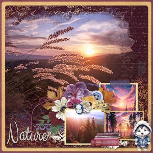 Nature Beauty
