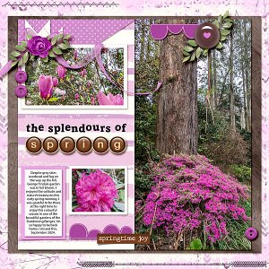 The splendours of spring