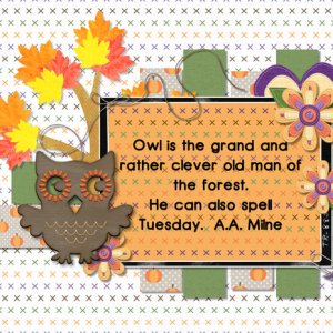 CARD Clever Owl