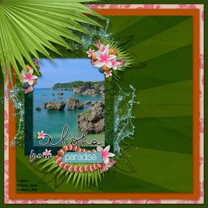 Aloha From Paradise