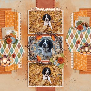 cozy autumn memories 2024