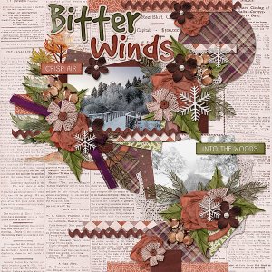 Bitter Winds
