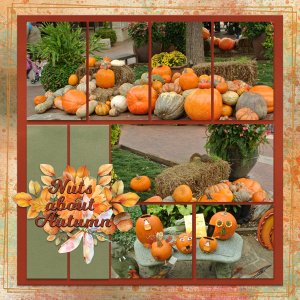 Nuts about Autumn