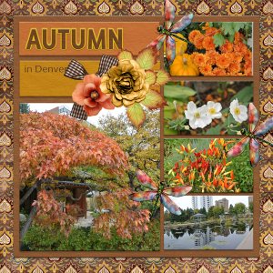 AUTUMN in Denver