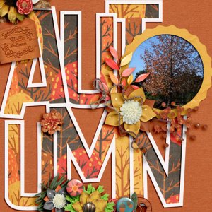 600-funfactory-fall-summary-ii-marlyn-01